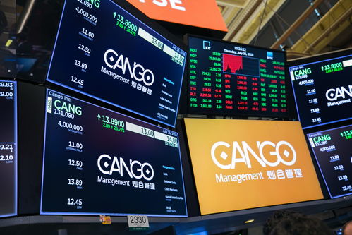 灿谷 cang.us 荣获 最佳中概金融股 大奖