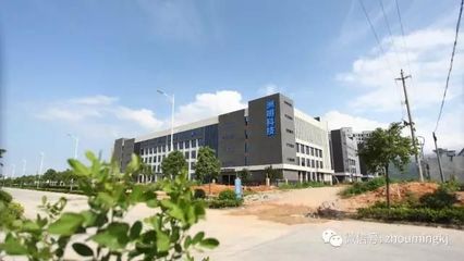 爱在洲明,共享欢乐时光