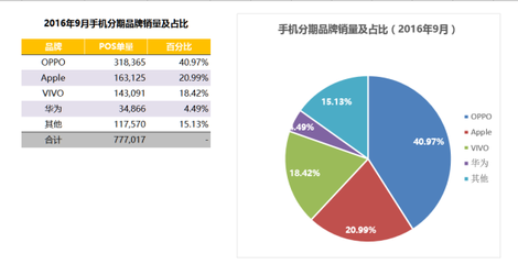 vivo真相:一个可持续发展的商业样本研究报告