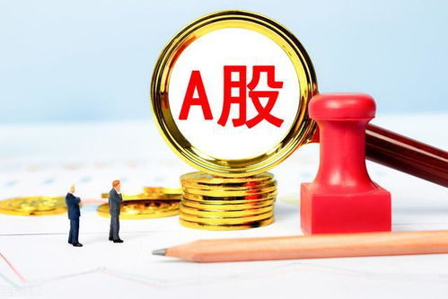 钮文新 a股市场被 外资 左右是危险的