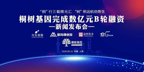 桐树基因完成数亿元B轮融资，基因检测赛道热度再升级