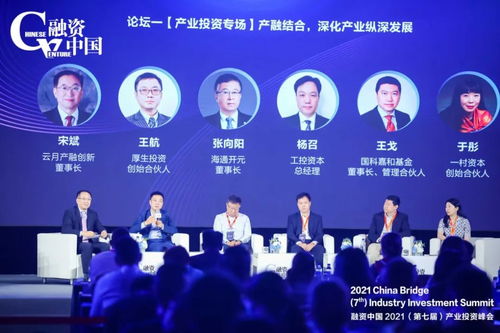 融资中国2021第七届产业投资峰会暨颁奖盛典隆重举办，引领金融业界新趋势