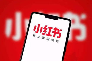 小红书回应“下架前估值50亿融资传闻” 纯属假消息